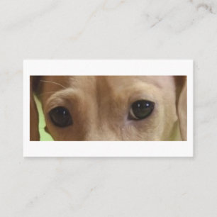 Carte De Visite Crème Dachshund Eyes