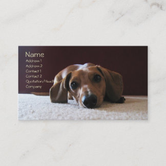 Carte De Visite crockettsperfectpic, nom, adresse 1, adresse 2…