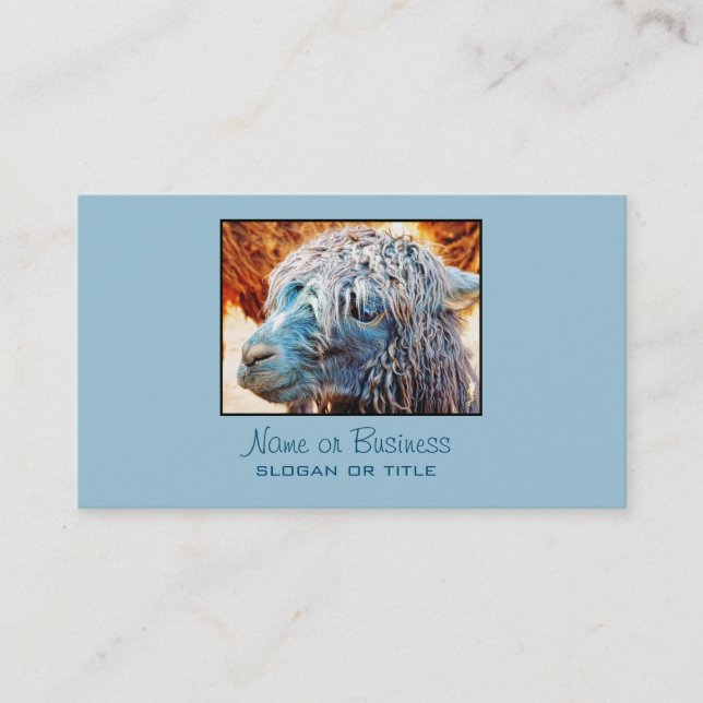 Carte De Visite Cute Alpaca bébé en bleu (Devant)