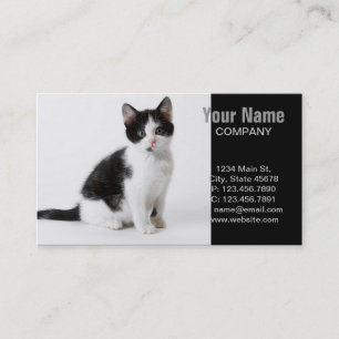 Carte De Visite Cute Funny chaton noir et blanc