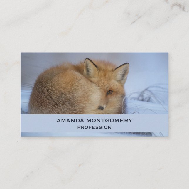 Carte De Visite Cute Little Fox Curling Up Winter Photo (Devant)