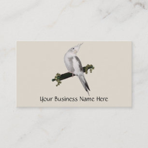 Carte De Visite Cute Lutino Cockatiel Bird Ivy Perch Animal