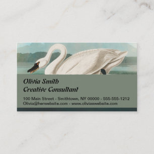 Carte De Visite cygne audubon cygnes d'eau blanche