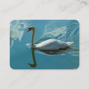 Carte De Visite Cygne avec reflets nuageux