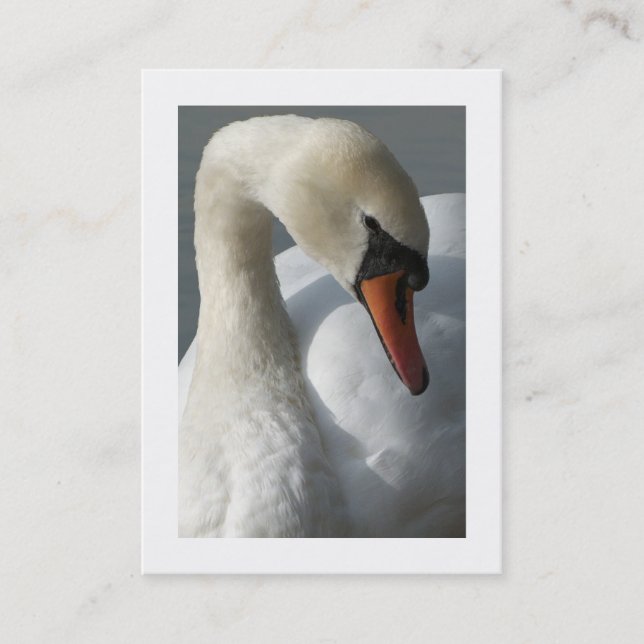 Carte De Visite Cygne (Bordé) (Devant)