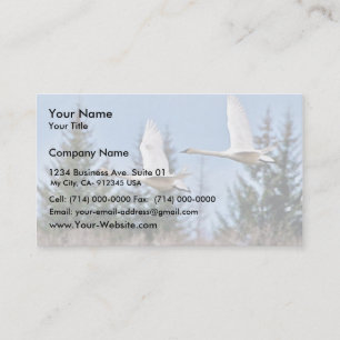 Carte De Visite Cygnes de trompettiste en vol