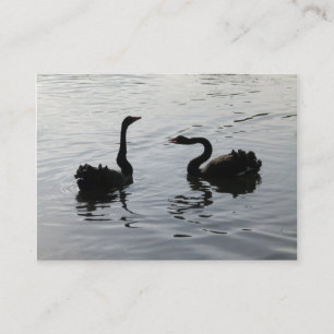 Carte De Visite Cygnes noirs saluant