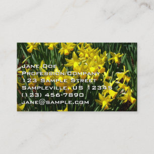 Carte De Visite Daffodiles Jaunes I Fleurs De Printemps Cheveux