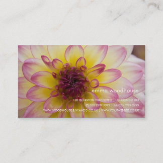 Carte De Visite Dahlia de Bourgogne, jaune et blanc