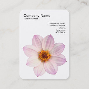 Carte De Visite Dahlia rose