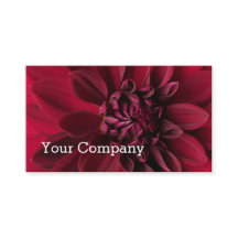 Dahlia rouge moderne frais floral