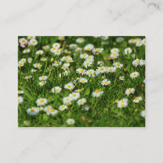 Carte De Visite Daisy Meadow (Devant)