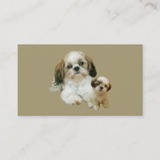 Carte de visite d'amant de Shih Tzu (Devant)