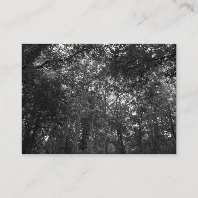 Carte De Visite Dans les arbres, Mini Photo (Devant)
