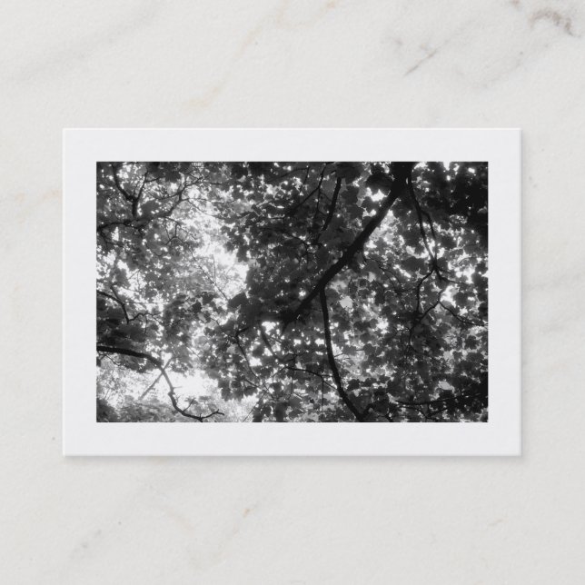 Carte De Visite Dans les arbres, Mini photo (Devant)