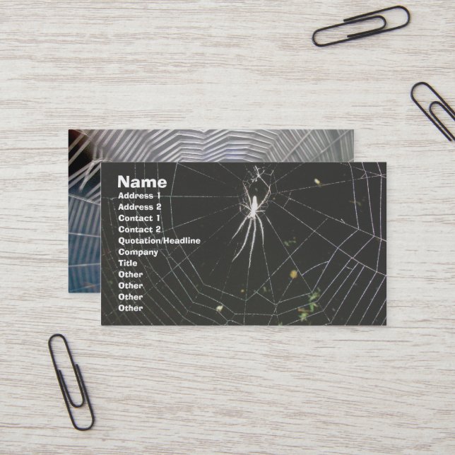 Carte de visite d'araignée de Tétragnathid Orb Wea (Devant/Arrière en situation)