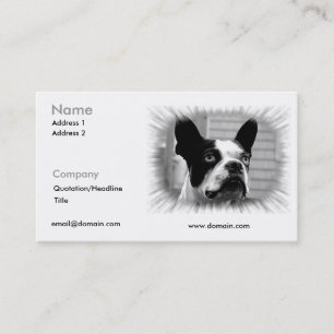 Carte de visite de Boston Terrier