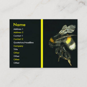 Carte de visite de Bumblebee