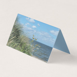 carte de visite de bureau de paysage de plage mari