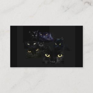 Carte de visite de chats de Scaredy