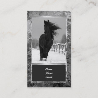Carte de visite de cheval