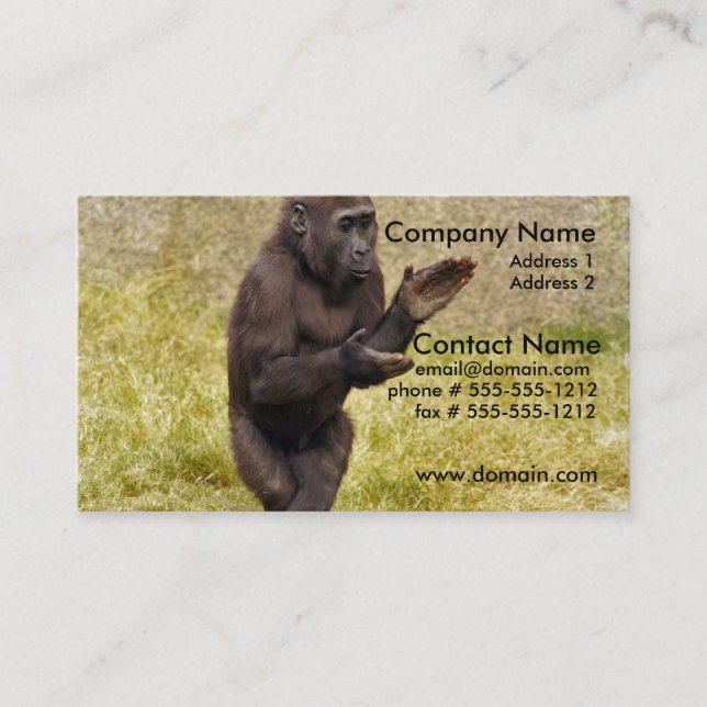 Carte de visite de chimpanzé (Devant)