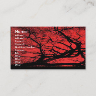 Carte de visite de ciel de Viking