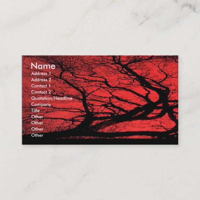 Carte de visite de ciel de Viking (Devant)