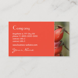 Carte de visite de cynorrhodon