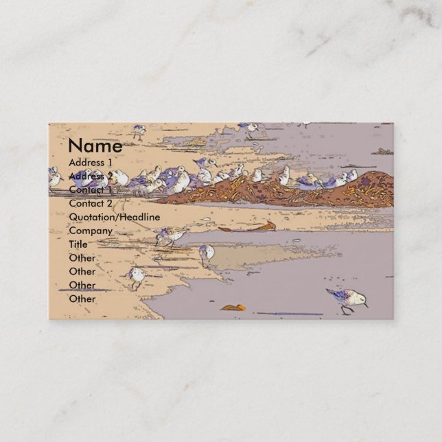 Carte de visite de Digitals de bécasseaux (Devant)