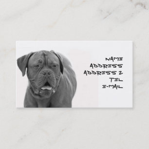 Carte de visite de Dogue de Bordeaux