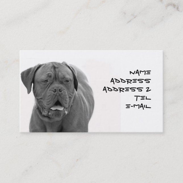 Carte de visite de Dogue de Bordeaux (Devant)