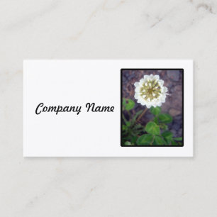 Carte de visite de fleur de tréfle blanc