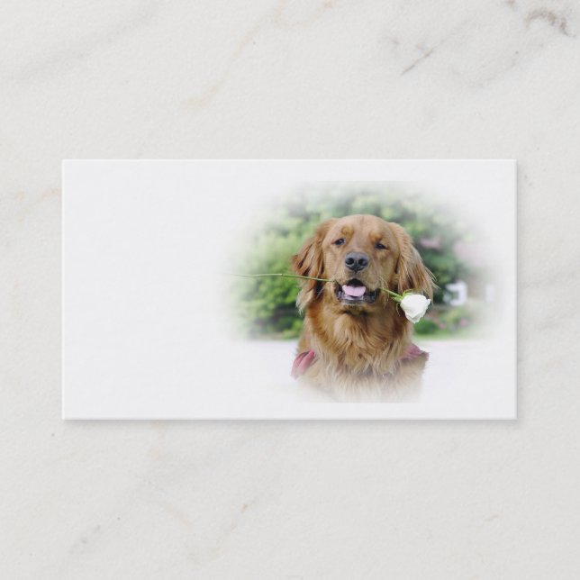 Carte de visite de golden retriever (Devant)