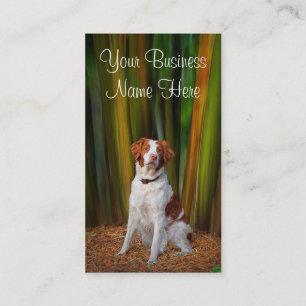 Carte de visite de la Bretagne