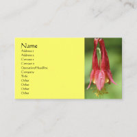 Carte de visite de la photographie à fleur de colo