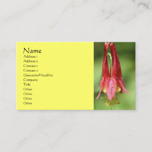 Carte de visite de la photographie à fleur de colo