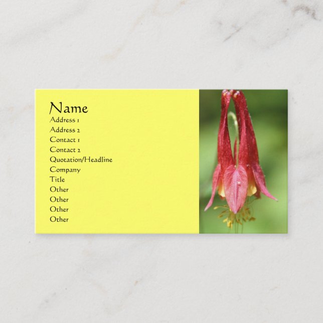 Carte de visite de la photographie à fleur de colo (Devant)