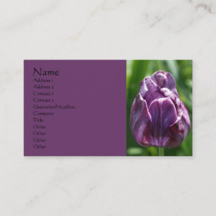 Carte de visite de la photographie à fleurs de tul