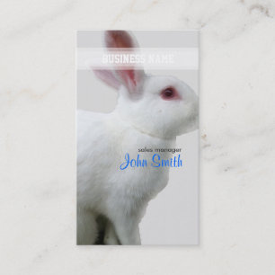 Carte de visite de lapin blanc