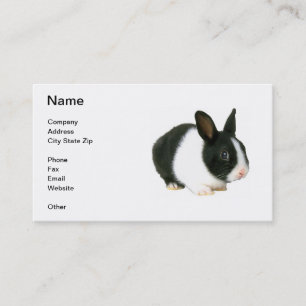 Carte de visite de lapin de nain noir et blanc