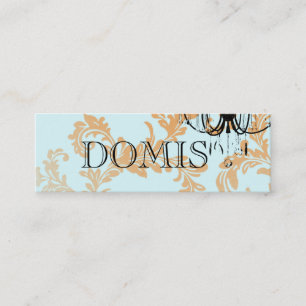 Carte de visite de lustre