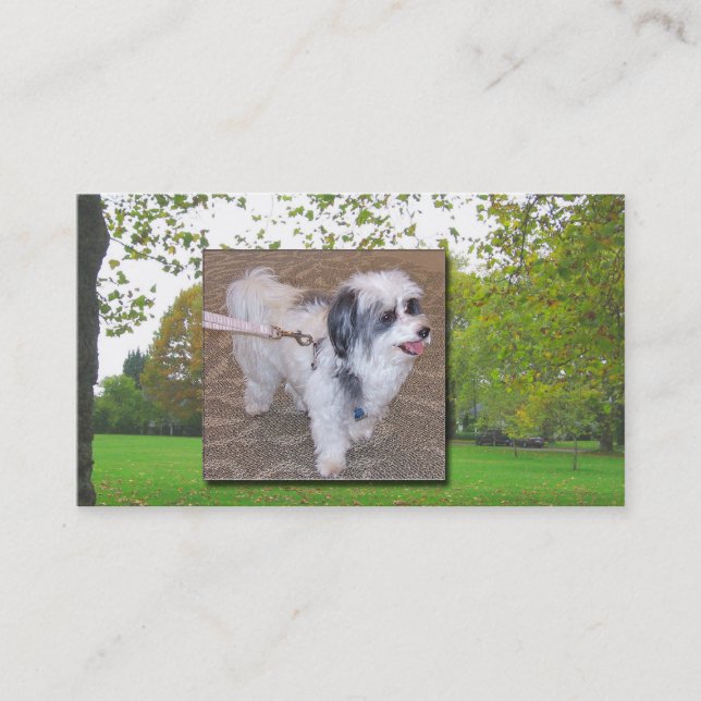 Carte de visite de marche de chien (Devant)