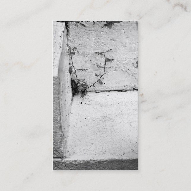 Carte de visite de mauvaises herbes sur les marche (Devant)