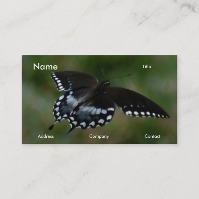 Carte de visite de papillon (Devant)