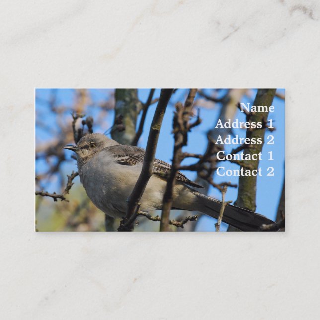 Carte de visite de photographie (Devant)