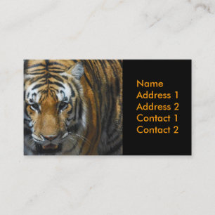 carte de visite de photographie