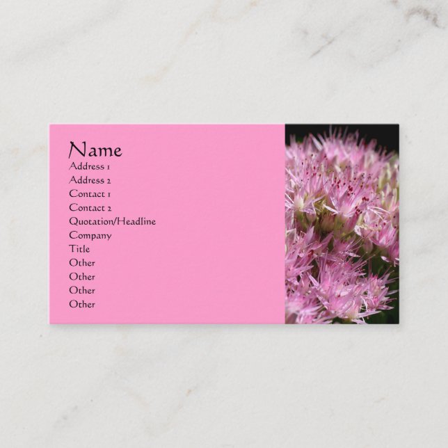 Carte de visite de photographie rose Sedum (Devant)