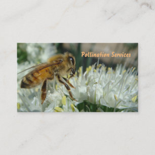 carte de visite de pollinisation d'abeille de miel