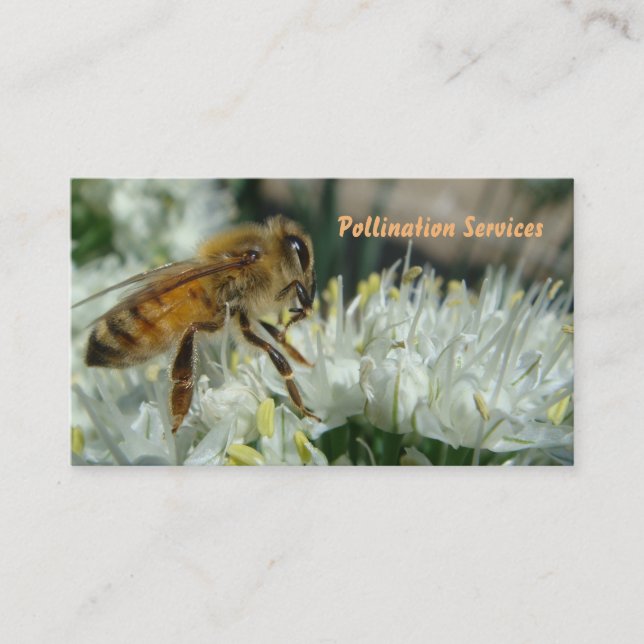 carte de visite de pollinisation d'abeille de miel (Devant)